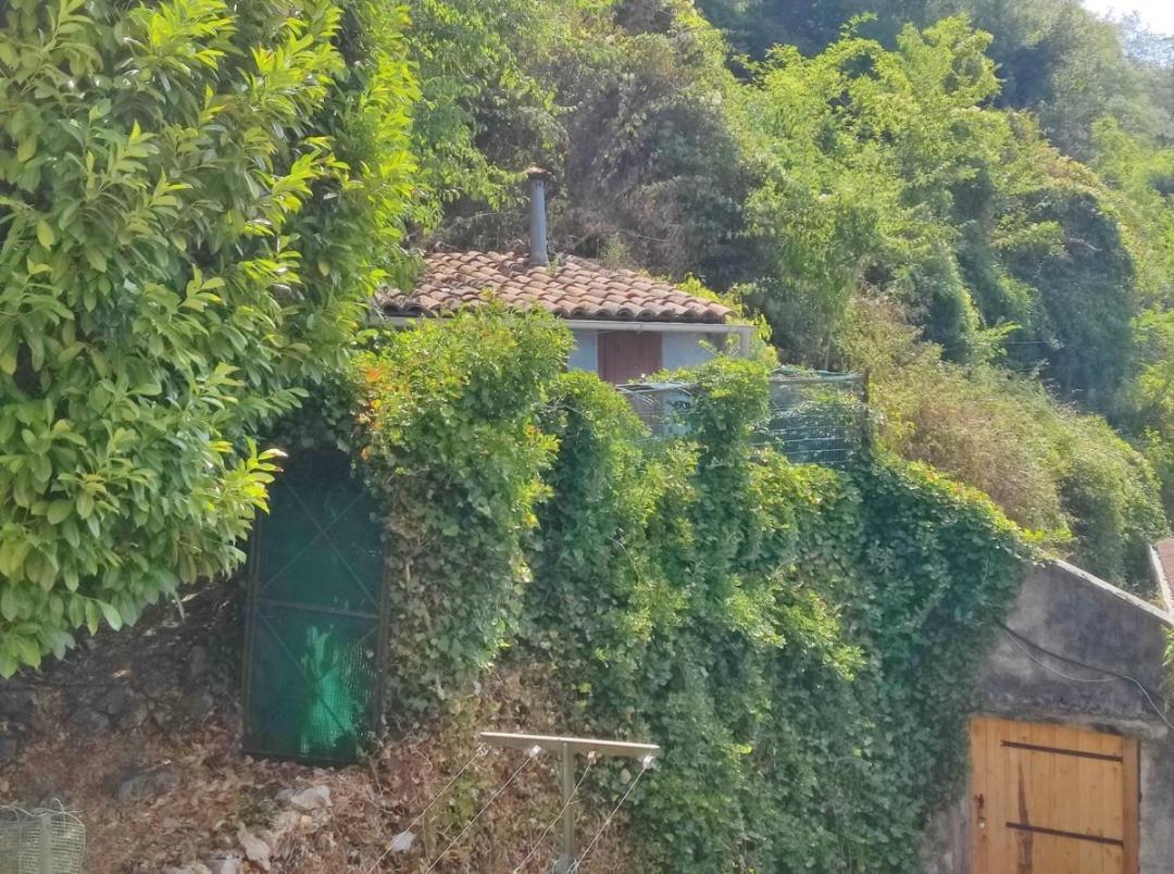 Hebergements Entiers Two Homes T1 Bas Or T1 Haut -Aux Terrasses Du Pech 富瓦 外观 照片