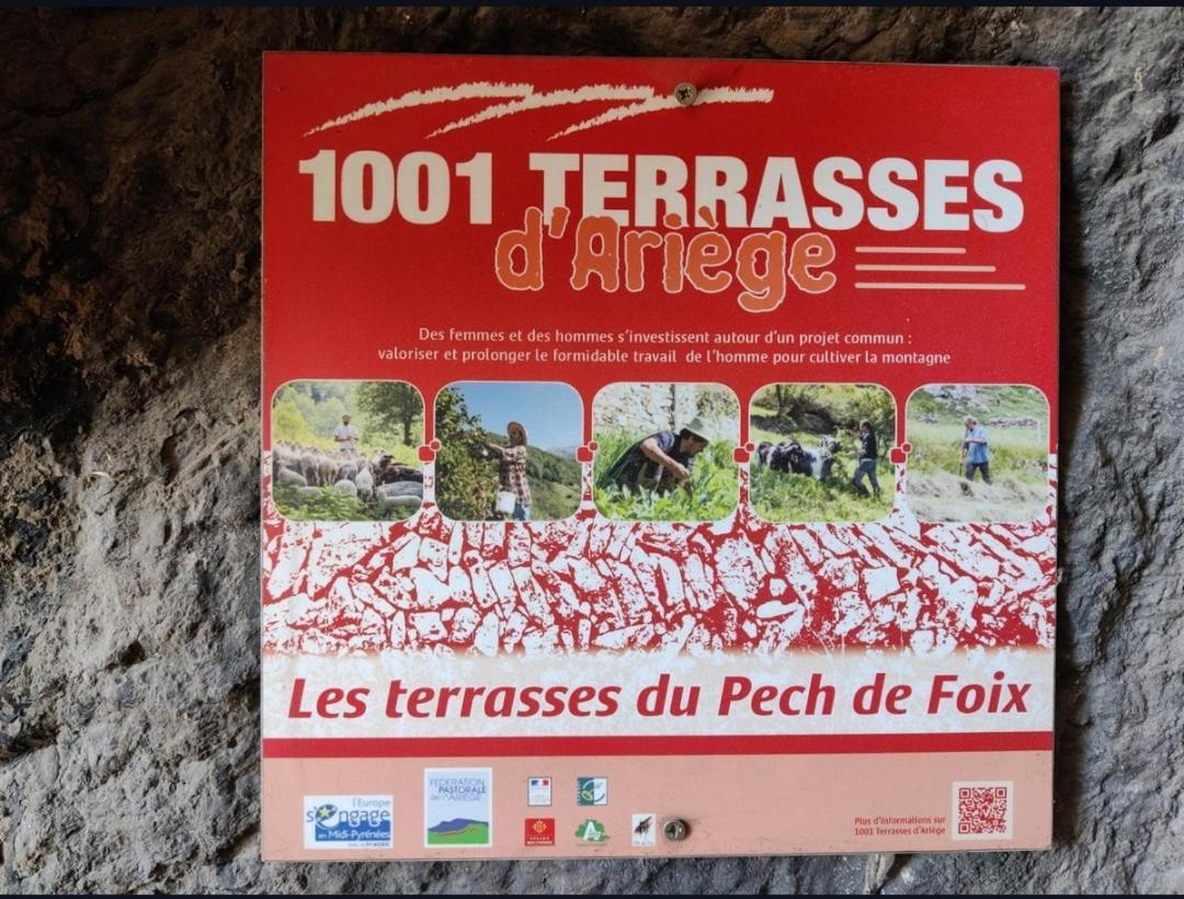 Hebergements Entiers Two Homes T1 Bas Or T1 Haut -Aux Terrasses Du Pech 富瓦 外观 照片